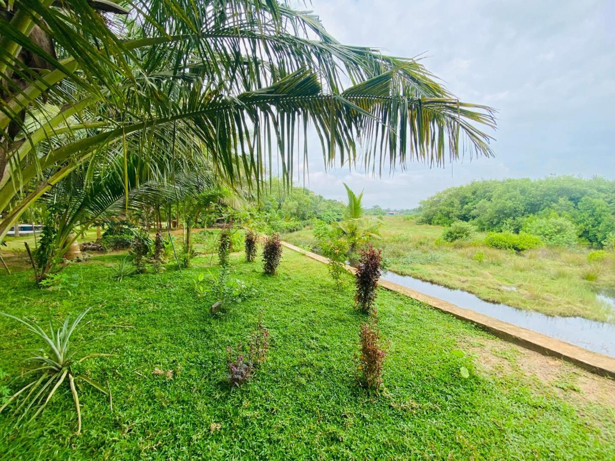 Hidden Garden Tangalle Dış mekan fotoğraf