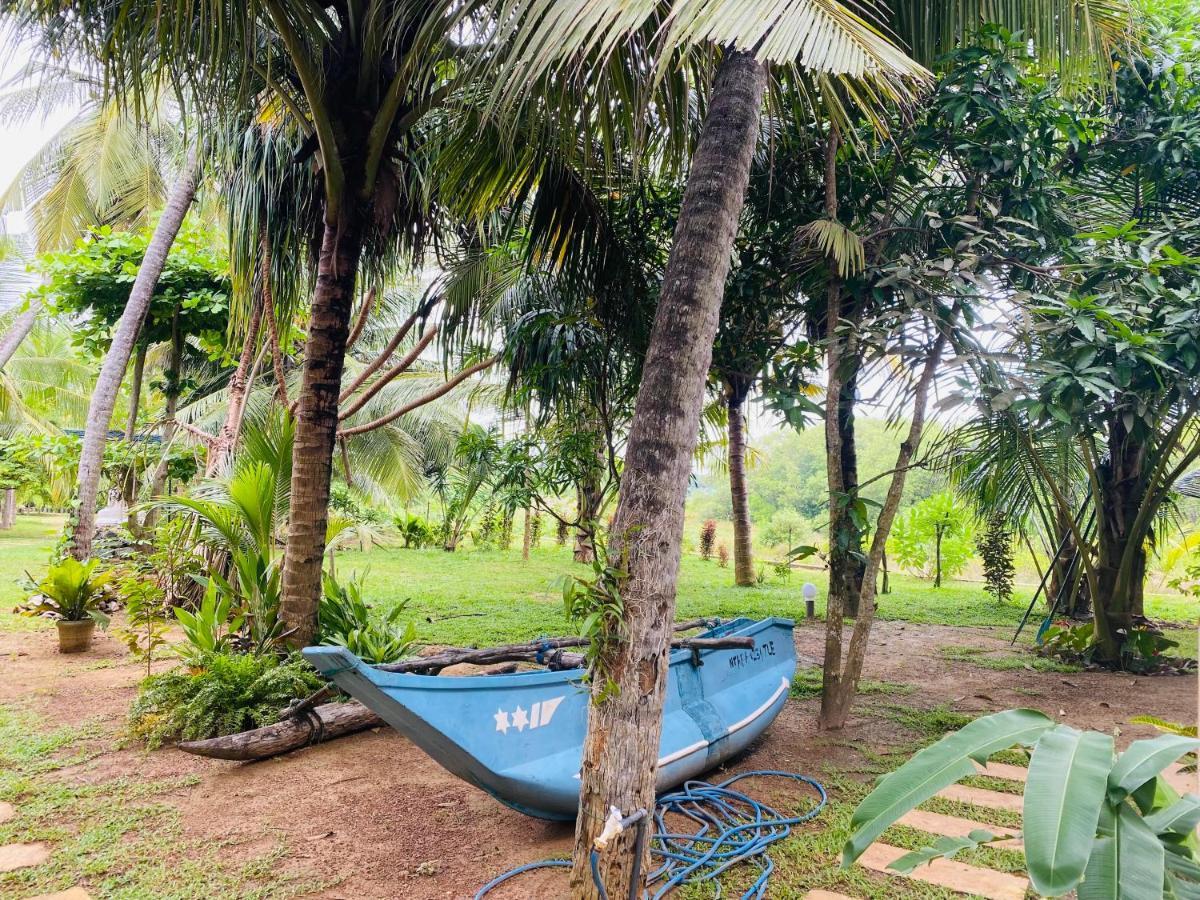 Hidden Garden Tangalle Dış mekan fotoğraf